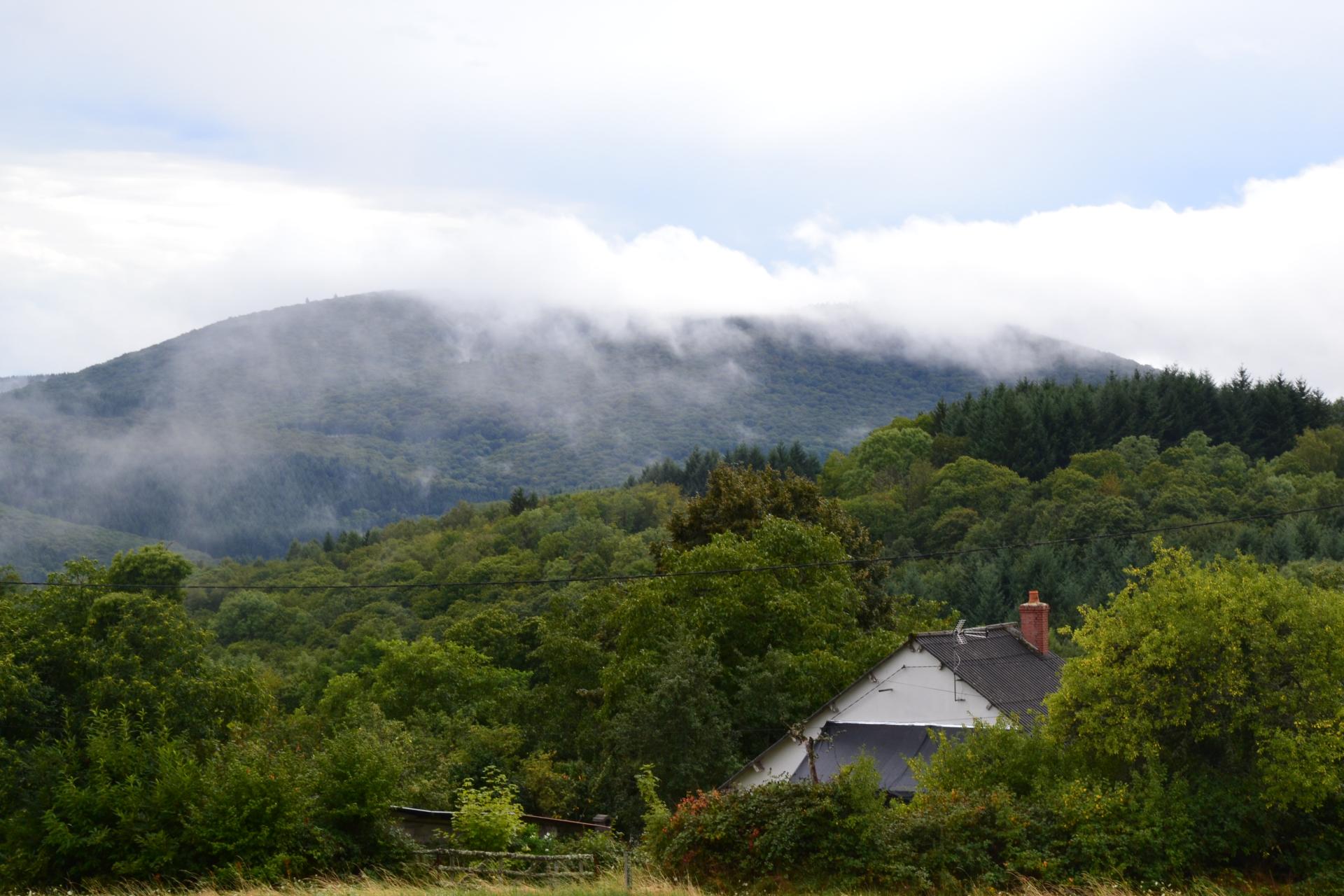 Brumes sur le Mont Beuvray