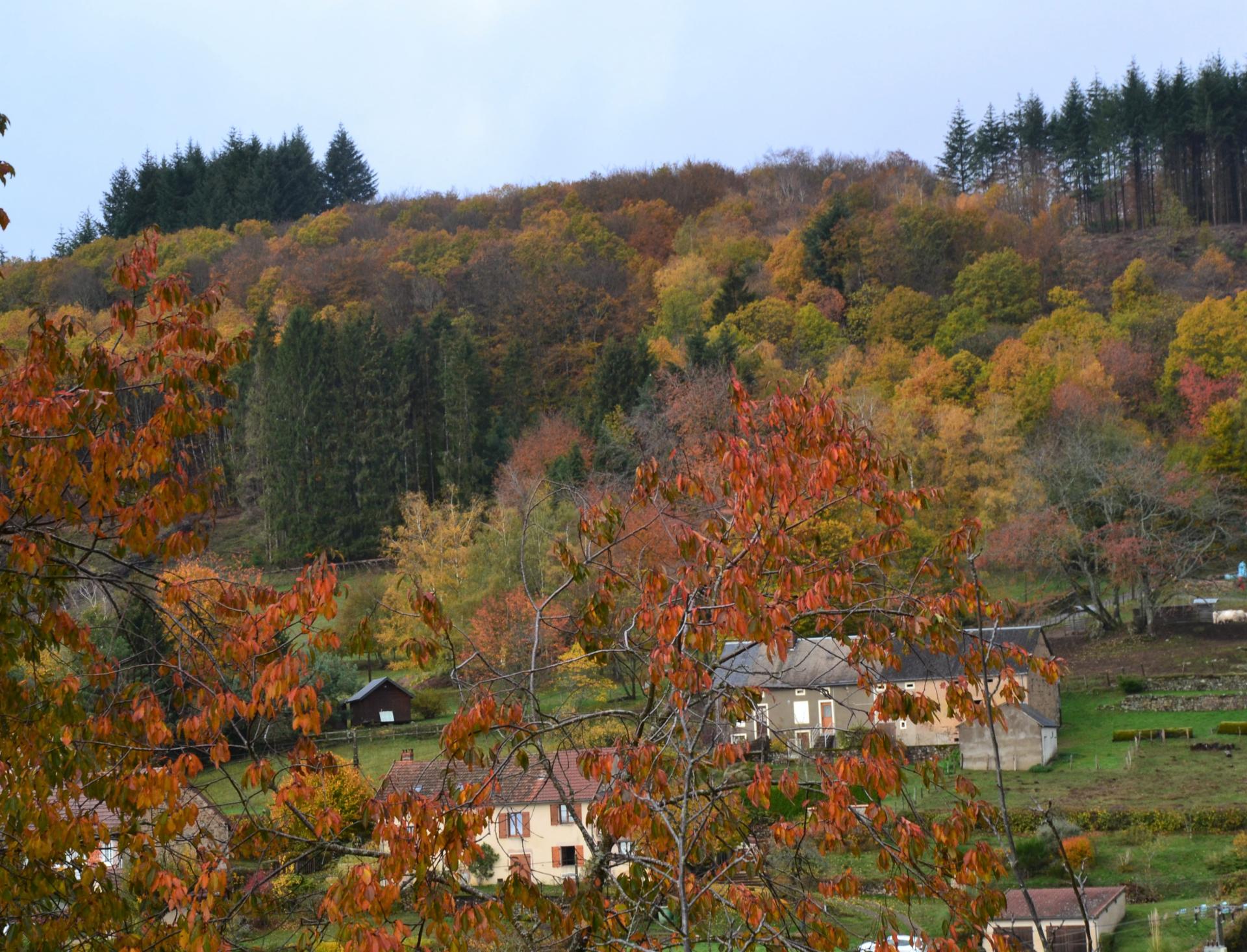 automne à la grande Chaux