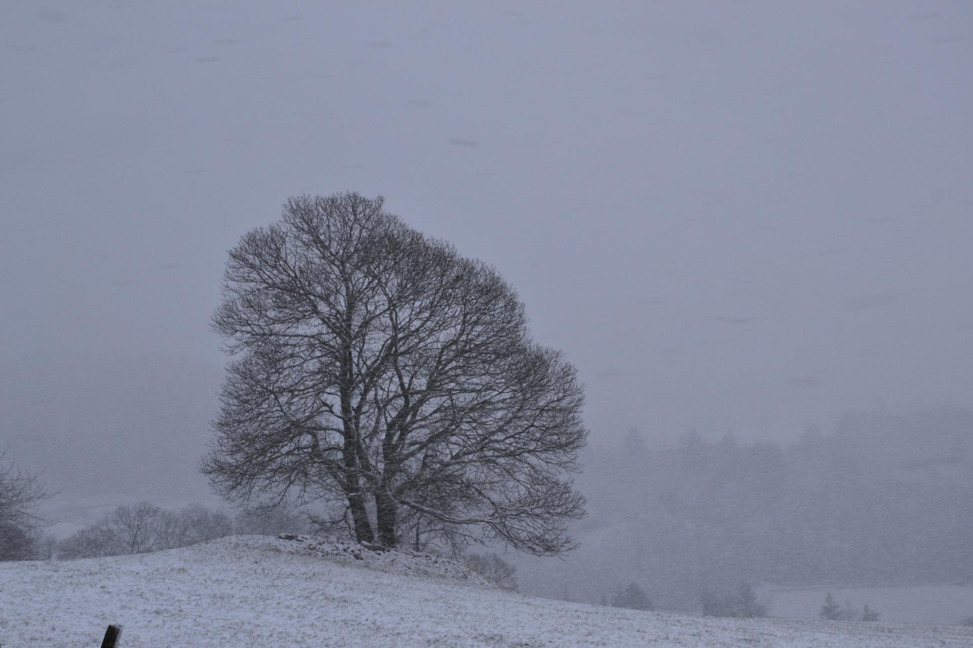 hiver à Reuilly