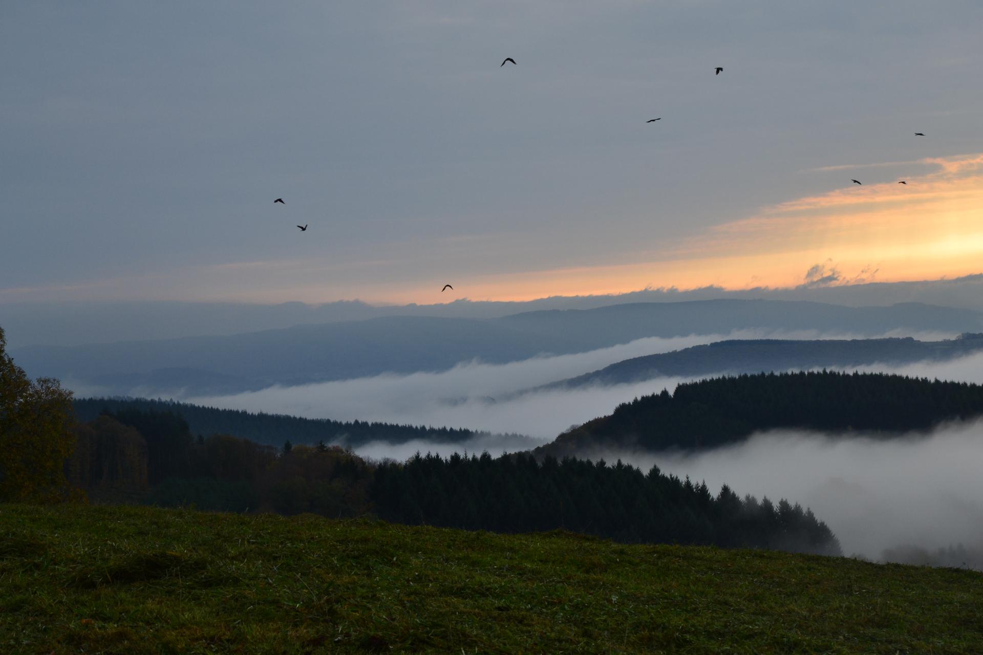 au dessus du brouillard