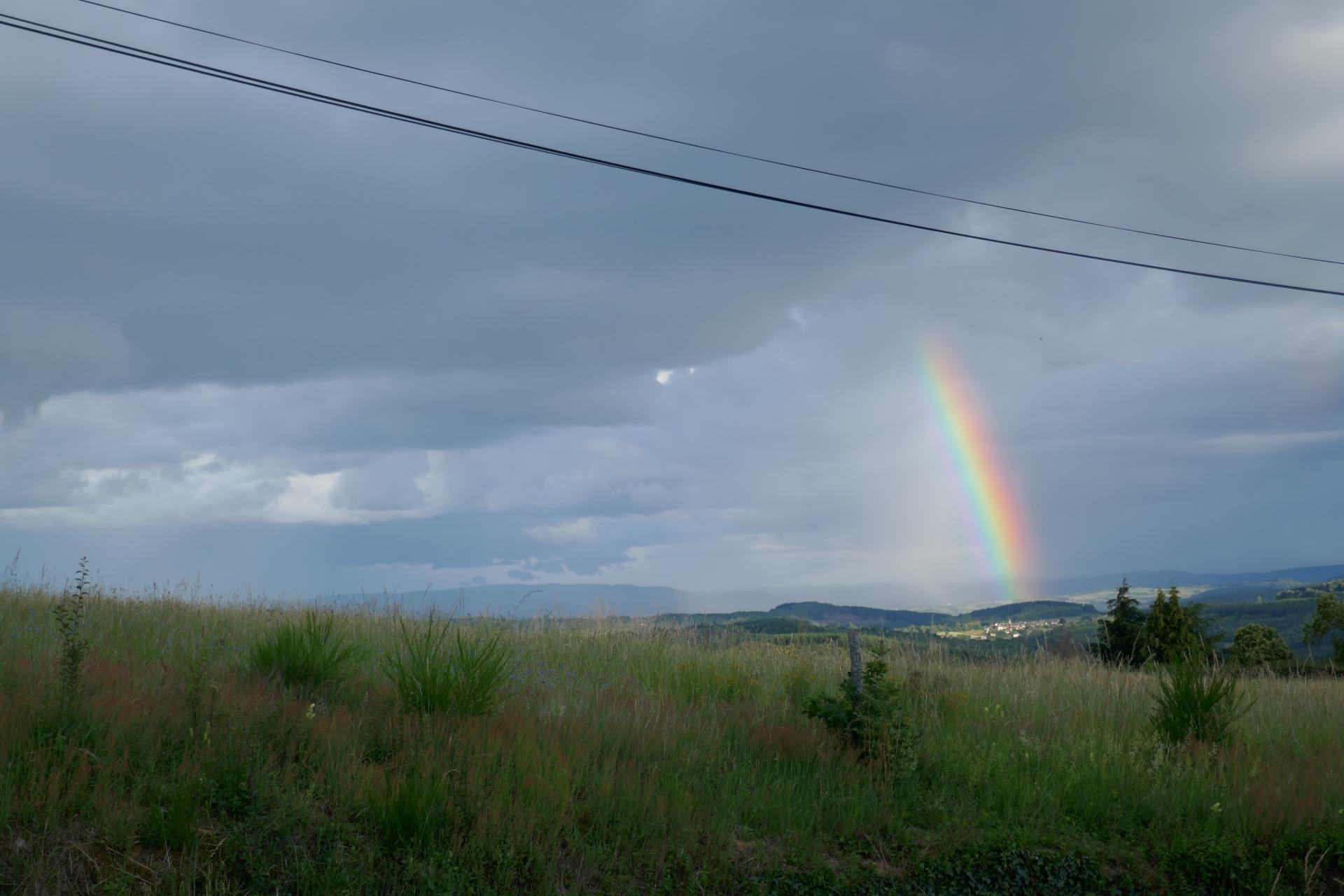 Après la pluie